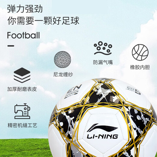 Li Ning Football No. 5 Adult Children and Youth Professional Competition Outdoor Training Sports High School Entrance Examination Ball No. 5/Standard White and Black Gold-671-1