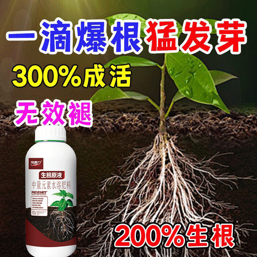 Powerful rooting solution imported from Germany, green plant rooting and seedling strengthening agent, potted flowers, vegetables, succulents, hydroponics, seven days for rooting, three days for rooting, 30g, 1 bottle