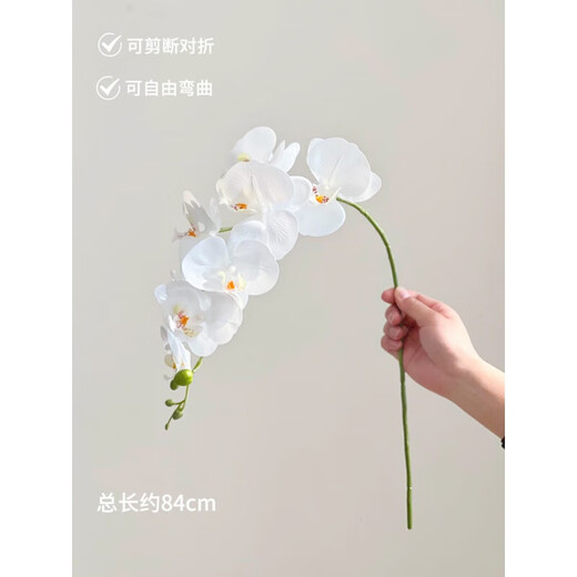 Flower e-flow Phalaenopsis artificial flower fake flower table decoration light luxury high-end flower arrangement dining table floral decoration home decoration 1 branch - moon white Phalaenopsis Moisturizing feel/can