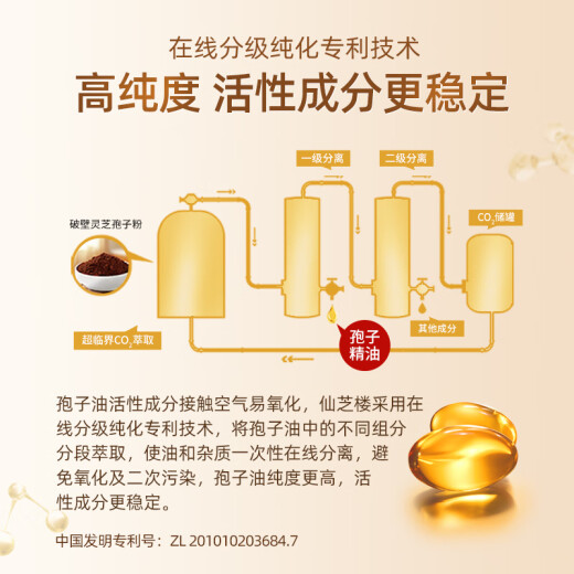 仙芝楼灵芝孢子油软胶囊头道破壁灵芝孢子粉 0.5g/粒*60粒/盒