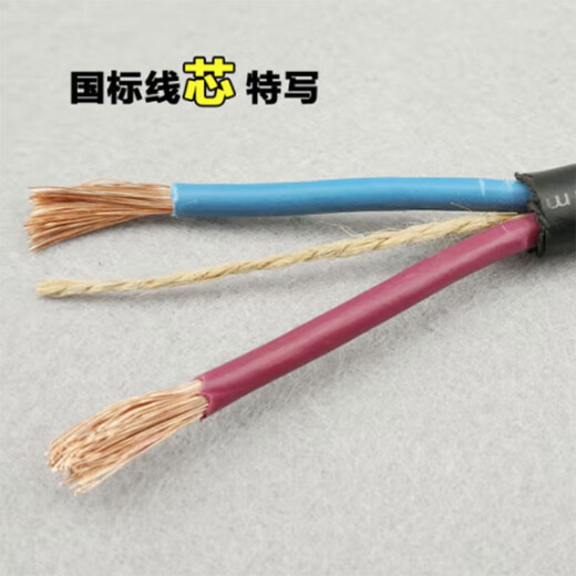 SPSR wire and cable anti-freeze waterproof sheathed wire power cord rubber sheathed wire 1 1