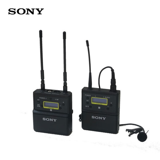 索尼（SONY）UWP-D21 K29CN无线领夹一拖一麦克风小蜜蜂（638MHz-694MHz频率） UWP-D21+沣标2500毫安套装