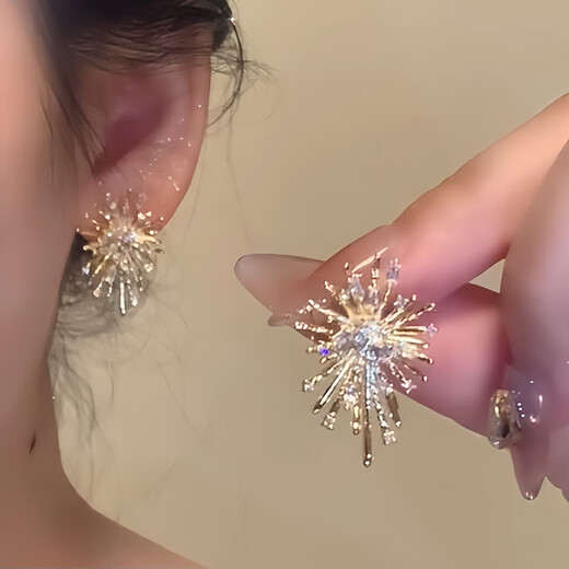 Tapaying Fashionable Zircon Fireworks Earrings Light Luxury High-end Autumn and Winter Earrings Korean Style Earrings Fashion Earrings New Style Fireworks Earrings Pair