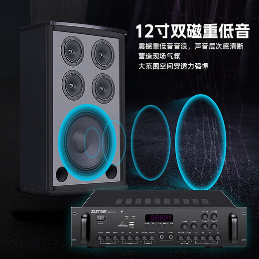 先科（SAST）会议室音响套装组合家庭KTV培训会议教室讲课专用设备蓝牙功放壁挂音箱无线话筒一拖四整套 套餐4(10寸音响2只+功放)