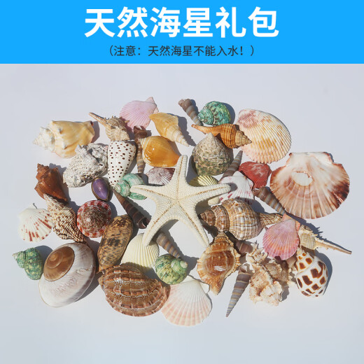 Aseblarm天然海螺贝壳标本摆件海星手工diy工艺品水族箱鱼缸装饰造景套装 1个天然海星250克贝壳海螺+手拎袋