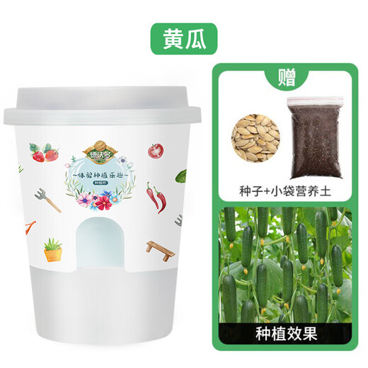 Devodo Cucumber Seed DIY Children's Fun Planting Potted Set Flower Green Plant Potted Vegetable Observation Planting Cup