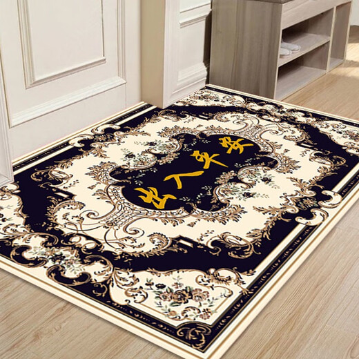 Center of mass primary color entrance door home living room foyer bedroom carpet bathroom kitchen absorbent non-slip mat G-Entry safe 80*100cm