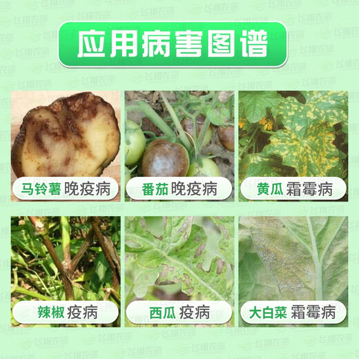 Bayer Silver Farid Prosomidiocarb Hydrochloride Fluopicostrobin Fongicide pour légumes, arbres fruitiers et raisins Mildiou et jambe noire 100 ml