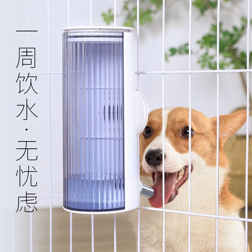 Fengshang pet water dispenser hanging dog ball water feeder dog drinker hanging cage jelly green 700ml Fengshang pet water dispenser hanging dog ball water feeder dog drinker hanging cage jelly green 700ml