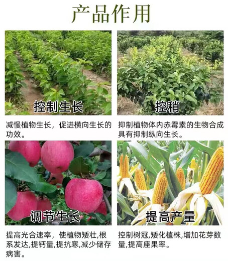 Jianpai Suzhuang 25% Paclobutrazol Controls Shoots, Promotes Flowers, Preserves Fruits, Increases Dwarfing, Chlormequat Controls Growth, Anti-Lodging Regulator 1000ml