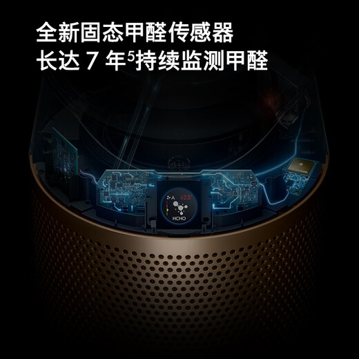 戴森（DYSON）空气净化器暖风扇 HP09（黑金） 368994-01