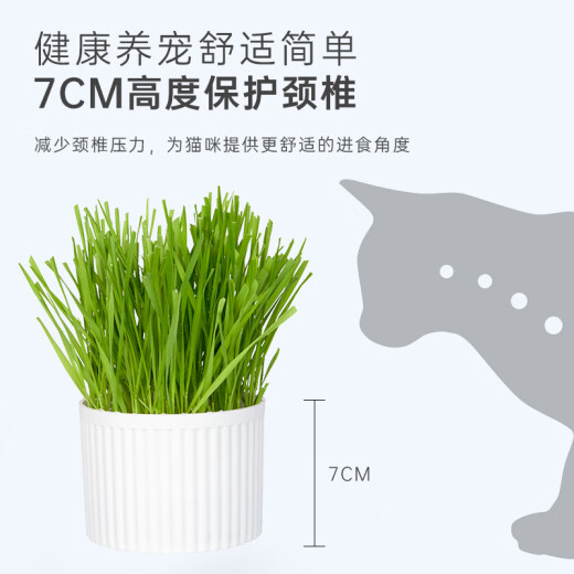 Huanpet.com Cat Grass Seeds Cat Mint Cat Snacks Depilation Hair Cream Cat Grass Hydroponic Seed Planting Kit Cat Supplies