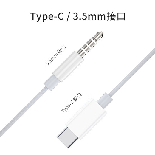 Newmine XLT10 typec earphones wire-controlled music mobile phone digital earphones type-c version semi-in-ear wired earphones black