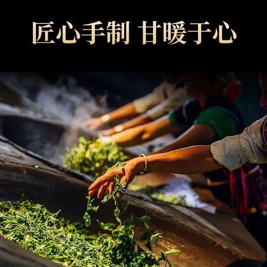 传奇会乌龙茶 凤凰单枞鸭屎香特级250g 罐装乌岽单丛茶叶自己喝送礼