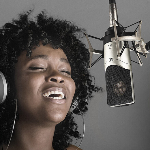 Sennheiser Sennheiser MK4 Large Diaphragm Condenser Microphone Professional Recording Studio Live Singing Microphone Internet Celebrity Anchor Sound Card Set Audiobook Novel Dubbing Equipment Sennheiser MK4 JD Delivery