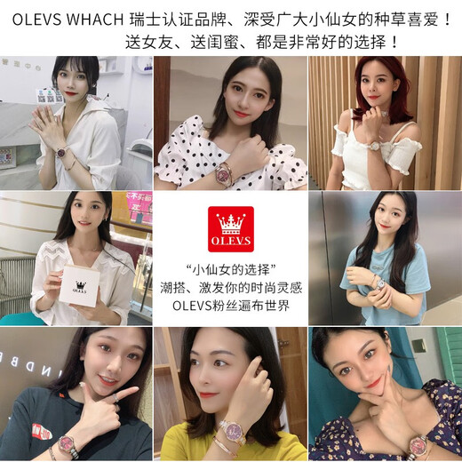 
OLEVS Swiss certified brand watches for women mechanical watches fully automatic simple temperament women's watches luminous waterproof women's watches OLEVS-6636-Purple leather rose shell powder