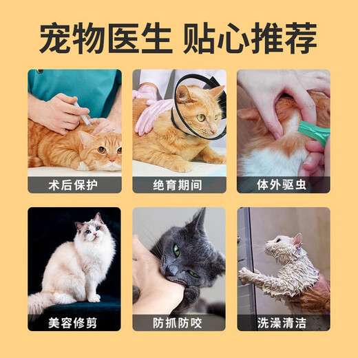 Qi Oh cat collar Elizabeth collar cat collar head cover anti-licking waterproof shame circle sterilized cat supplies No. 5 collar suitable for 6-10 Jin Jin equals 0.5 kg pet Elizabeth collar