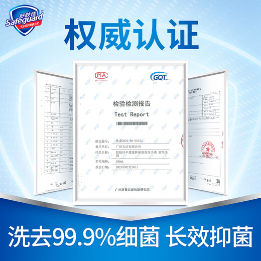 Safeguard hand sanitizer antibacterial press bottle sterilization and disinfection pure white hand sanitizer family size mild and clean super large capacity large bottle pure white fragrance 225gx2 bottles