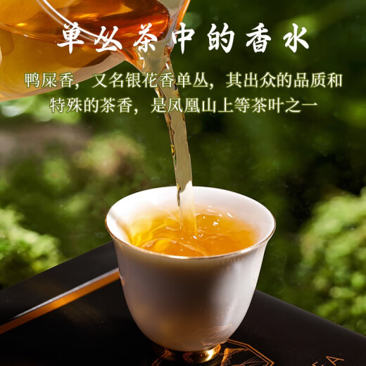 枞大师 鸭屎香凤凰单枞茶叶厂家直销 潮州单丛茶高山乌龙 乌岽单枞罐装500g