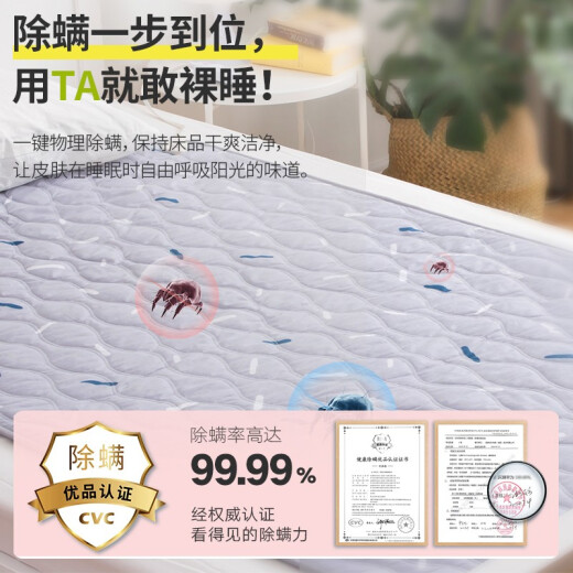 Rainbow electric blanket single electric mattress (1.6 meters long and 1.0 meters wide) brushed automatic power-off student dormitory mite removal