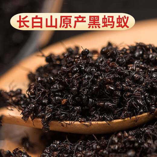 Medicina china seleccionada para hormigas negras en el Neijing 500 g de articulaciones reumatoides secas de hormigas negras empapadas en vino [Antiguo negro] 500G