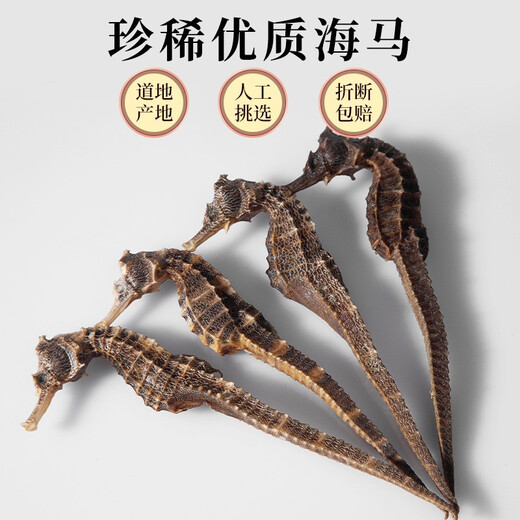 Qi Xiaofeng Haima Medizinische Materialien [CAWC -Zertifizierung] Große Seepferdchen männliche und weibliche ein Paar Trockenwaren Haima Hailong Kombination Wein Medizinmaterialien 1 Paar 2 (insgesamt mehr als 10 g)