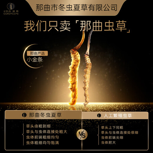 那曲冬虫夏草那曲野生冬虫夏草 滋补高端礼盒 3根/g 营养送长辈补品送领导送礼 【藏源精粹】25根 8.3g