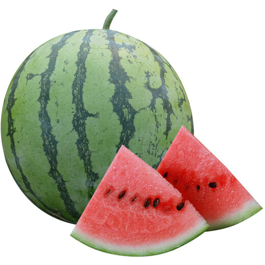 Suri Zaojia 8424 Watermelon Early Ripening Kirin Melon Xindumei Watermelon Seed Extra Large Kirin Super Sweet Seedless Melon Early Maturity Resistant Dumei F1 Canned 500 Tablets (Daejeon Premium)