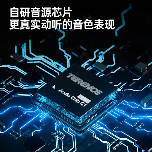 特伦斯折叠琴88键便携式电钢成人儿童电子琴重力度键盘V30pro家用 梦幻紫+专用琴包