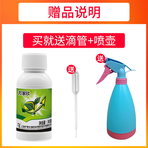 Special medicine for rose succulent strawberry flowers powdery mildew azoxystrobin carbendazim plant vegetable pesticide fungicide 30g