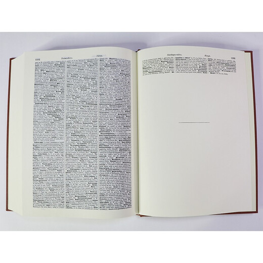 A Sanskrit-English Dictionary (Sanskrit-English Dictionary)