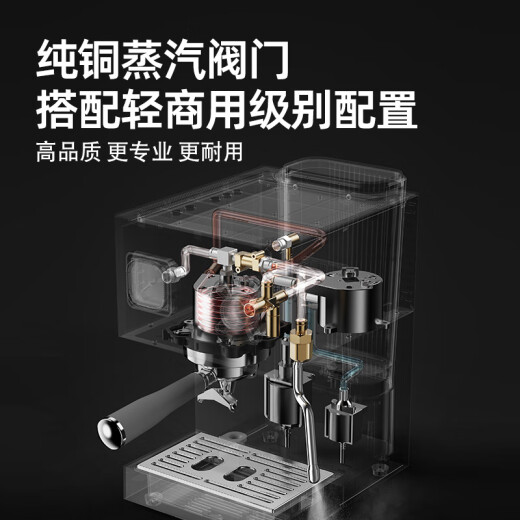 Petrus Coffee Machine Dual-Kessel Dual Water Pump Haushalt Retro Full Semi-Automatische italienische kleine All-in-One