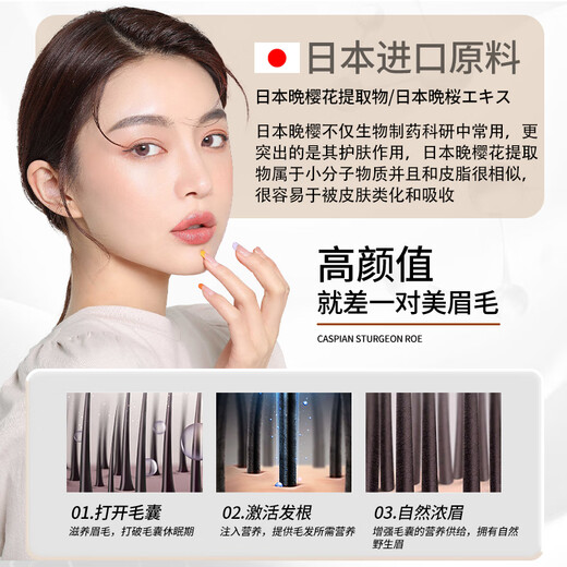 Oberfei Eyebrow nourishing solution Nutrition solution for men and women long thick eyebrows wild eyebrows 6ml