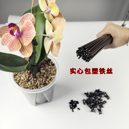 
Phalaenopsis special bracket orchid fixing clip protective cap plant fixing branch device plastic flower frame support rod [diameter 3mm] Phalaenopsis support rod 40cm long 10 rods + 10 protective caps + 20 clips
