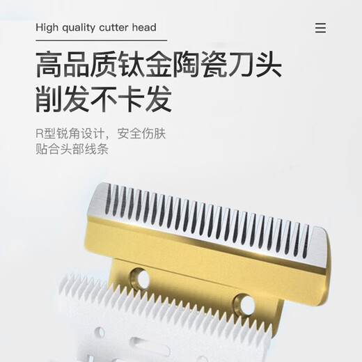 Paike pet electric clipper, dog shaver, cat and cat nail polisher, dog hair professional shaver, high-power electric clipper, basic model, 8-piece set