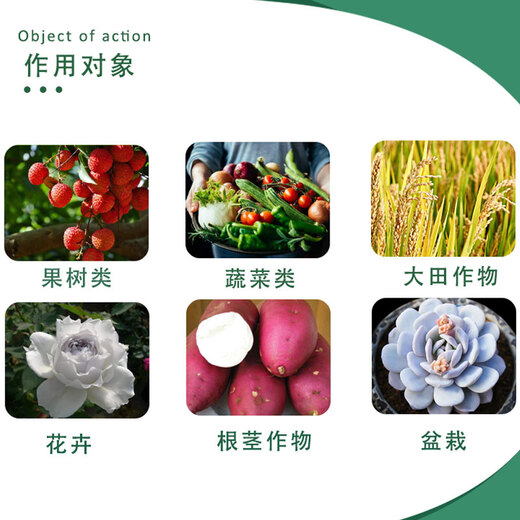 Guoguang Aizhuang 5% uniconazole effect sitting sweet potato shoot control rice peanut hedge flower succulent plant growth regulator