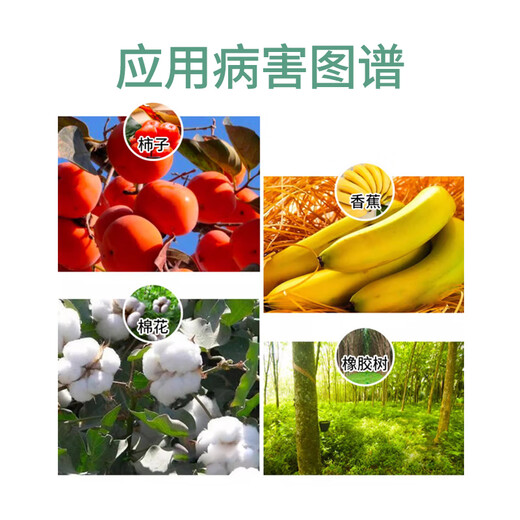 Bonsec 40% ethephon fruit and vegetable corn lawn Podocarpus dwarf control vigorous grape coloring plant growth regulator