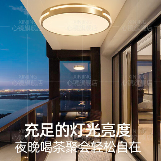 心镜全铜吸顶灯走廊过道专用超薄阳台灯户外防水别墅防蚊虫入户门前灯 X3890-310