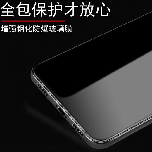 菲科斯 适用苹果X/XS防窥钢化膜iphone11pro全屏贴合手机膜苹果11系列通用覆盖防爆保护贴 苹果x/xs/11pro【钻石LG防窥膜】2片