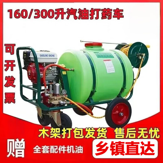 Gasoline powered hand push sprayer non-electric 2024 new high-pressure agricultural sprayer disinfection sprayer truck 300L 1 piece with 100m pipe