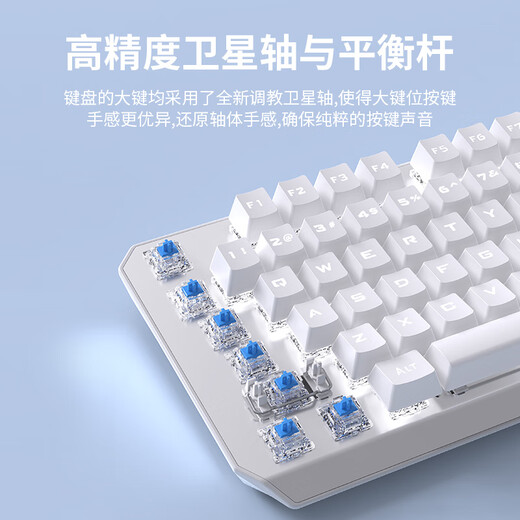 Forerunner True Mechanical Keyboard and Mouse Set Green Axis Brown Axis Red Axis Black Axis Gaming E-Sports Wireless Bluetooth 87 Keys White and Purple Dual-White Light 104 Keys 30 Light Effects - Official Standard Black Axis E-Sports Players