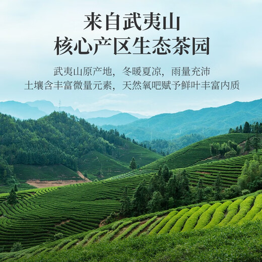华祥苑茶叶礼盒 水仙茶武夷岩茶乌龙茶武夷印象250g送礼礼物 250g*1盒