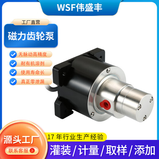 WSF Weishengfeng magnetic gear pump food-grade high-precision filling metering pump stainless steel small organic solvent pump methanol hydrogen production pump 0.6ml/r-WSFSGE0.6+40W brushless motor