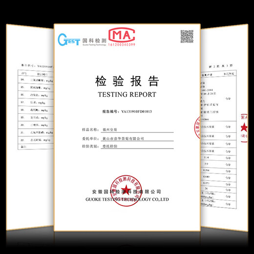 Mingyuan Huizhou Emperor chrysanthemum [buy 2 pieces = 3 cans in total about 500 flowers] Wuyuan Emperor chrysanthemum tea tribute chrysanthemum with wolfberry herbal tea [Newly picked golden hydrangea] [buy 2 get 1 can in total 500 flowers]