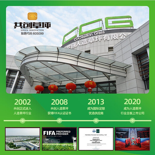 Co-create lawn golf green grass indoor and outdoor golf artificial turf fitness environmental protection gate court curved turf simulation golf B type