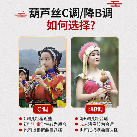 琴吟葫芦丝防摔树脂初学者小学生成人儿童入门演奏降B调C调木民族乐器 C调黑檀色+礼+盒