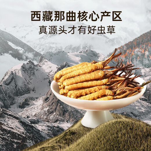Caja de regalo de alta gama de Yuanjiang Grass Tíbet Nagqu Cordyceps Tonic Nutricional Productos nutricionales para padres y ancianos [Naqu Wild] 4 Roots/G 20g Caja de regalo de corteza