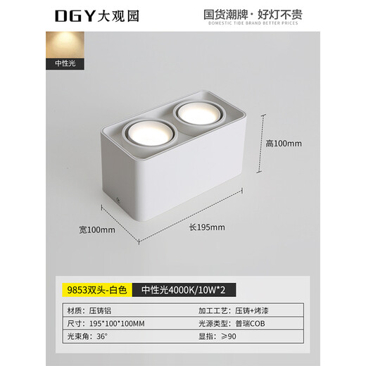 大观园（DGY）明装筒灯智能家居无主灯防眩极简护眼灯高显指格栅灯中山灯具429O 9853双头白色普瑞20W-中性光