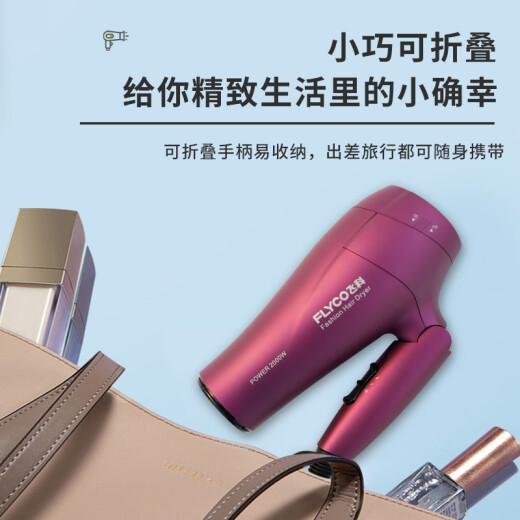 Feike Hair Dryer for household high-power negative ion hair care folding high-wind quick-drying silent hair dryer FH6296 1800W