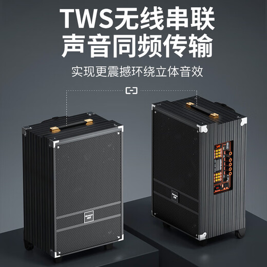 Newman N519 12-inch high-power subwoofer square dance audio mobile home outdoor karaoke Bluetooth trolley portable speaker amplifier dual microphone with adapter